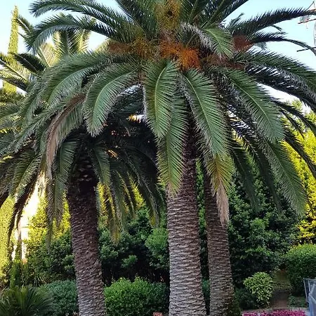 شقة Lanterna Viskovo