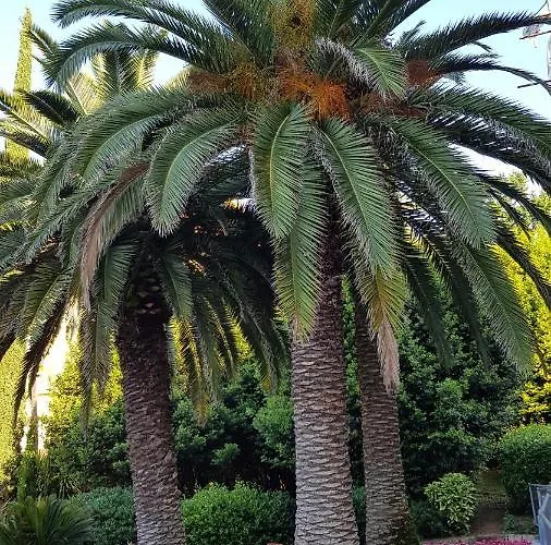 Apartamento Lanterna Viskovo